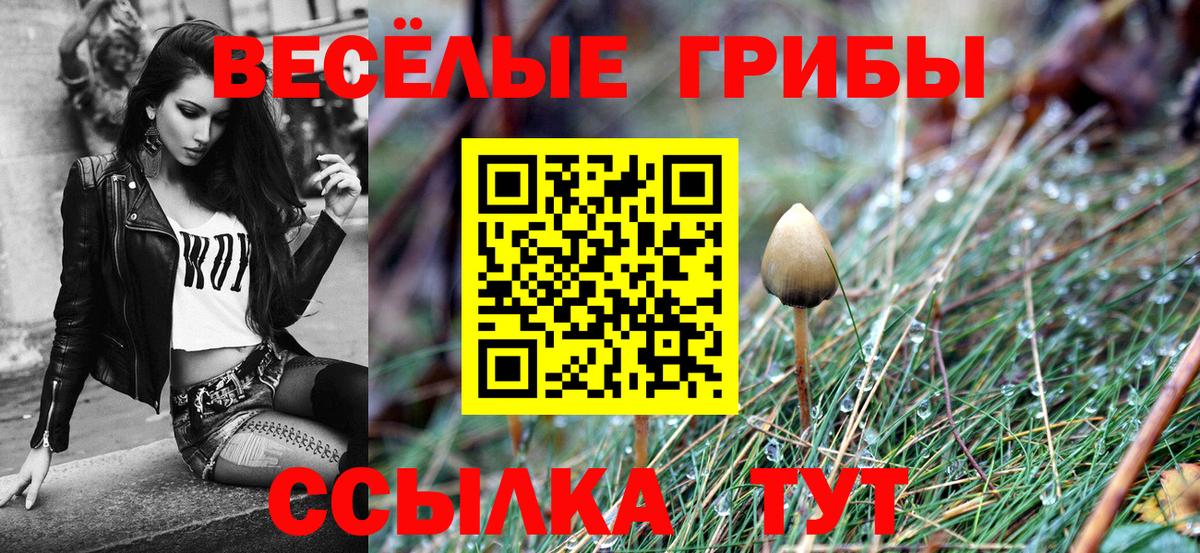Псилоцибиновые грибы MAGIC MUSHROOMS  Вход с VPN  Псилоцибиновые грибы мицелий  Краснознаменск 